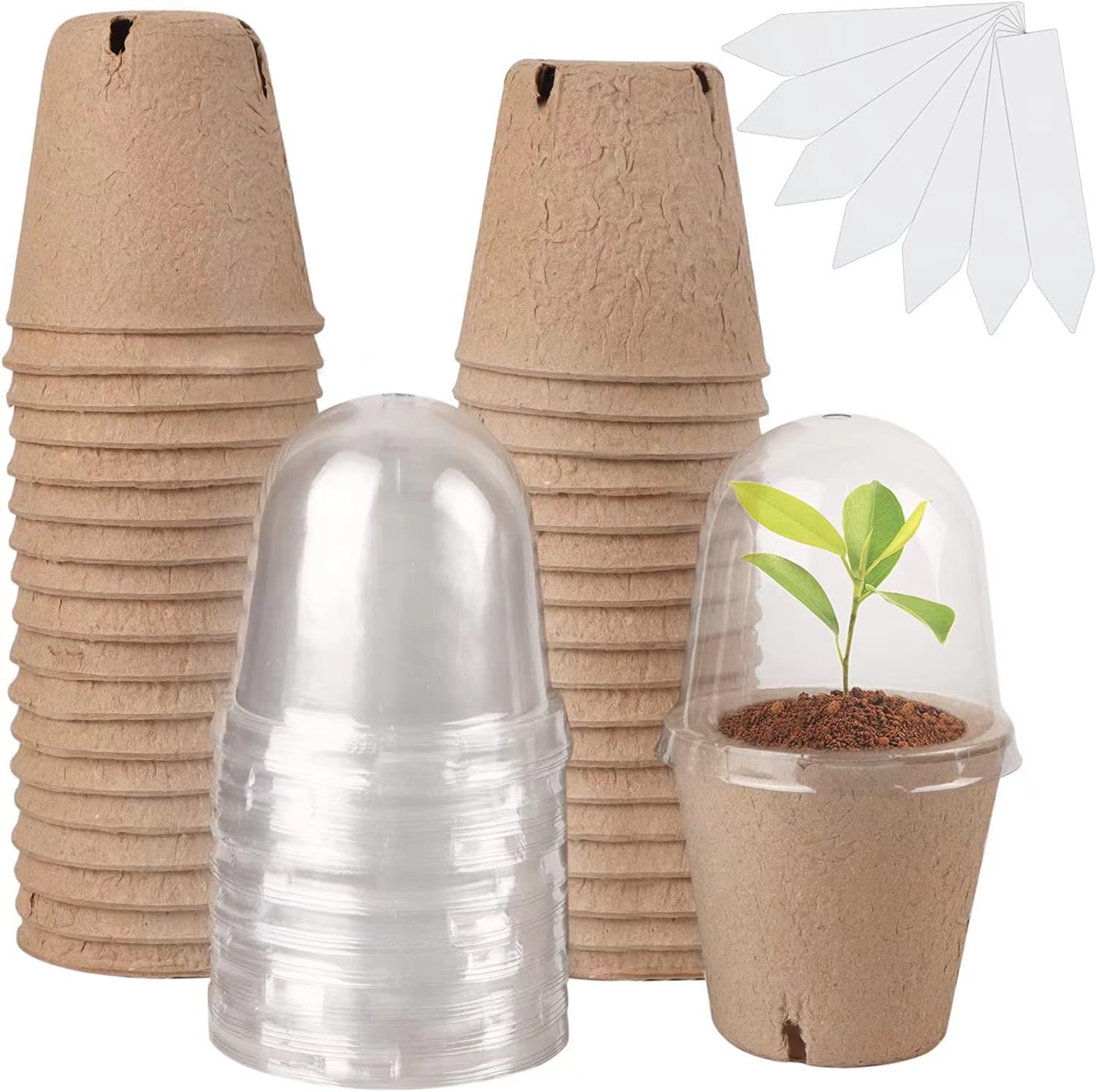 Indoor Herb Garden Kit - Pots de semis biodégradables en tourbe,