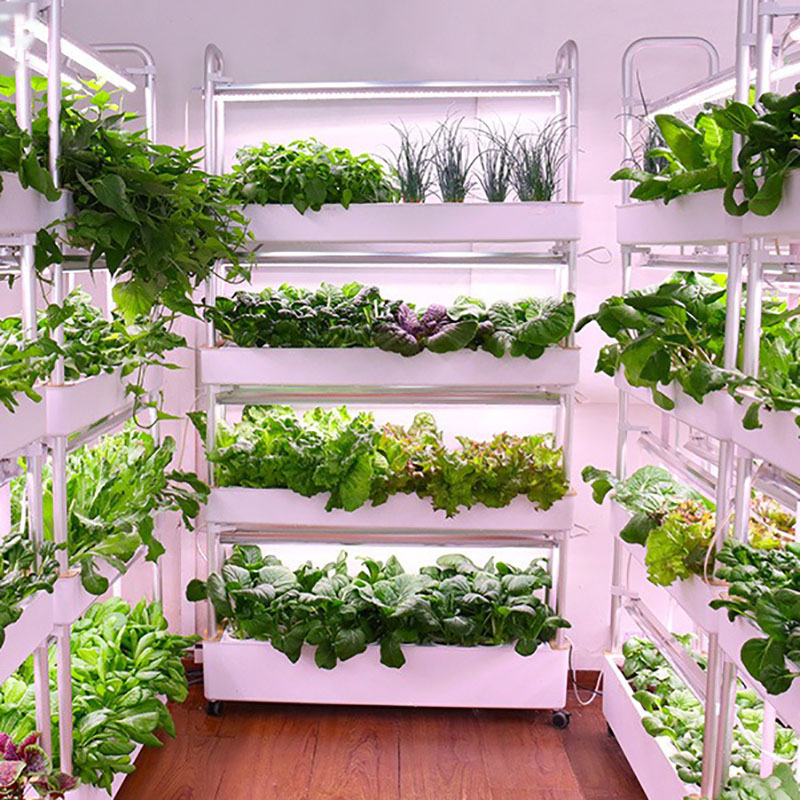 Smart Garden Box - Tour de culture hydroponique verticale intelligente