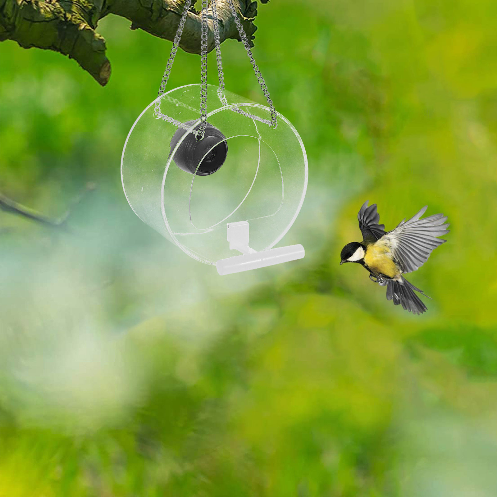 Smart Garden Video - Caméra intelligente avec diffusion en direct,