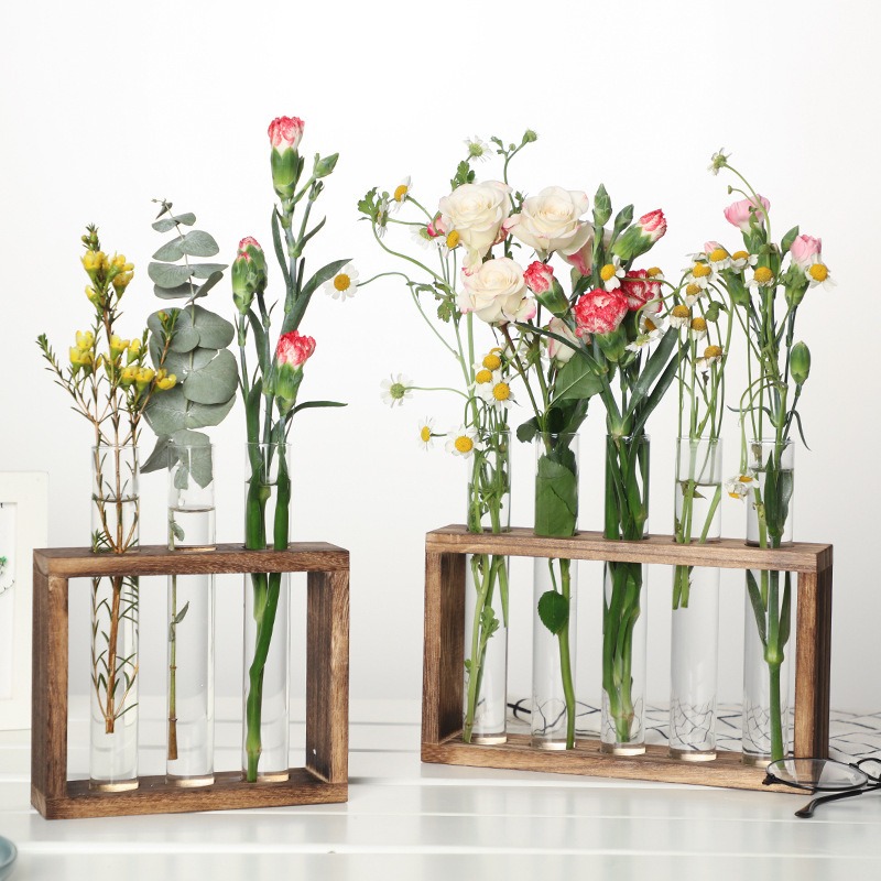Indoor Herb Garden Kit - Jardinière hydroponique en verre à 5