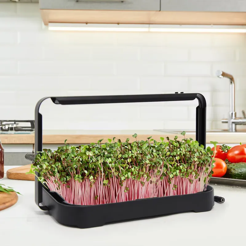 Smart Garden Indoor - Bac hydroponique pour micro-légumes d'intérieur, système