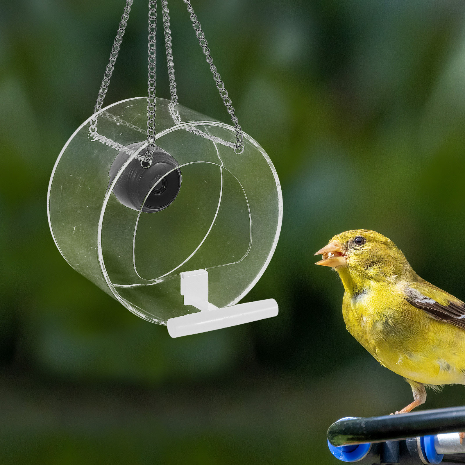 Smart Garden Video - Plateforme intelligente avec caméra vidéo en