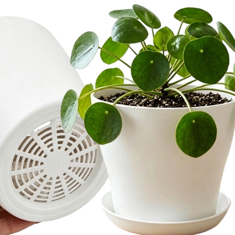 Indoor Herb Garden Kit - Ensemble de pots de plantes avec