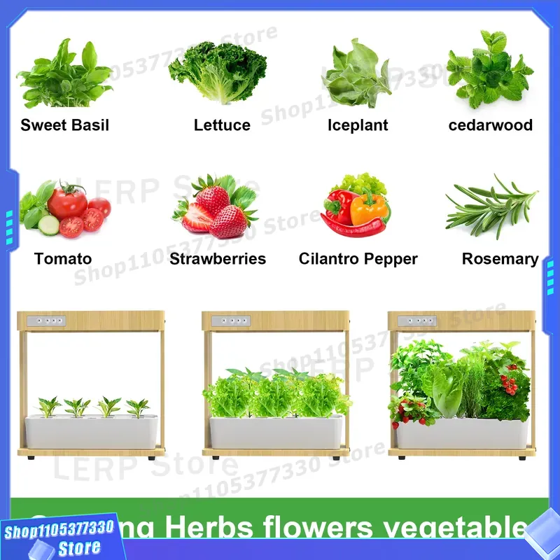 Kit de jardin hydroponique int - Indoor Herb Garden Kit avis et prix