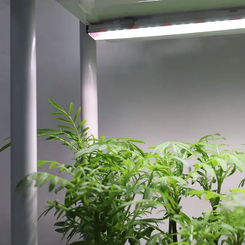 Jardinière intelligente vertic - Smart Garden Box avis et prix