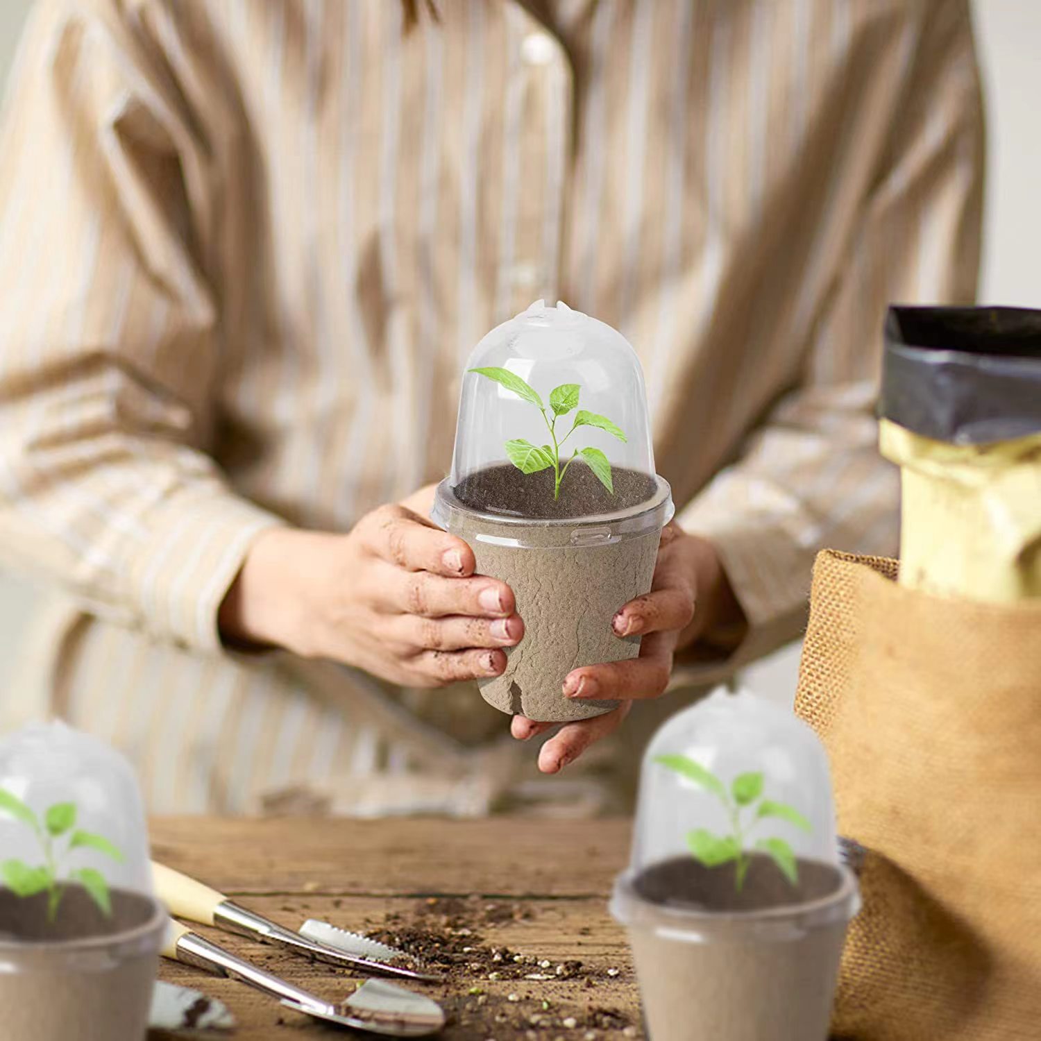 Pots de semis biodégradables e - Indoor Herb Garden Kit avis et prix