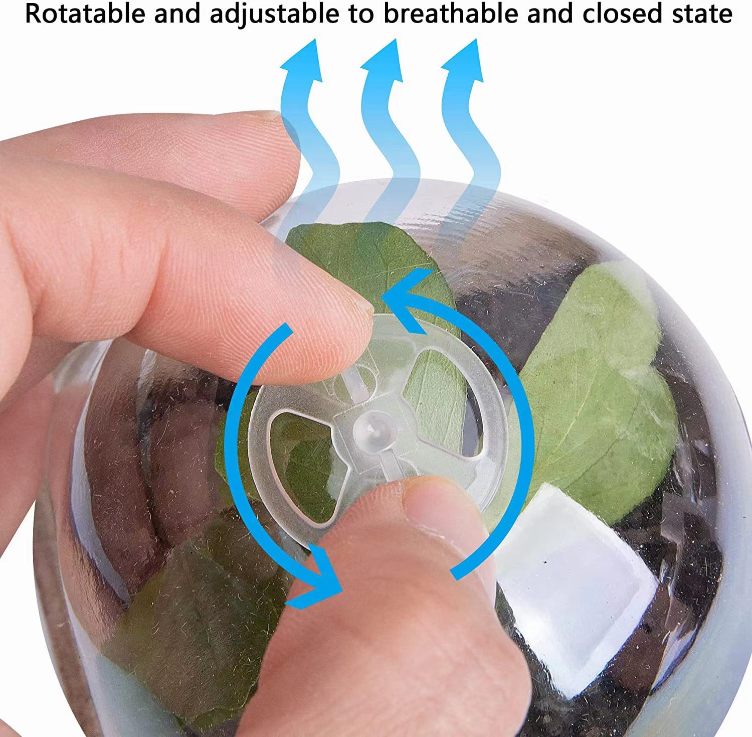 Pots de semis biodégradables e - Indoor Herb Garden Kit avis et prix