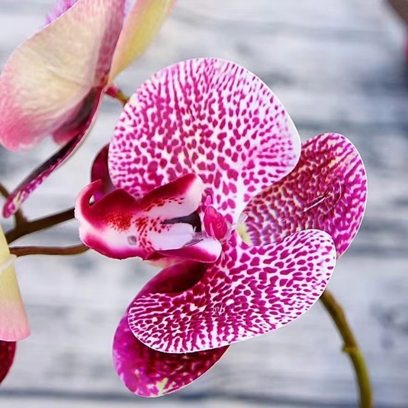 Fleurs artificielles 3D en pla - Smart Garden Storage avis et prix