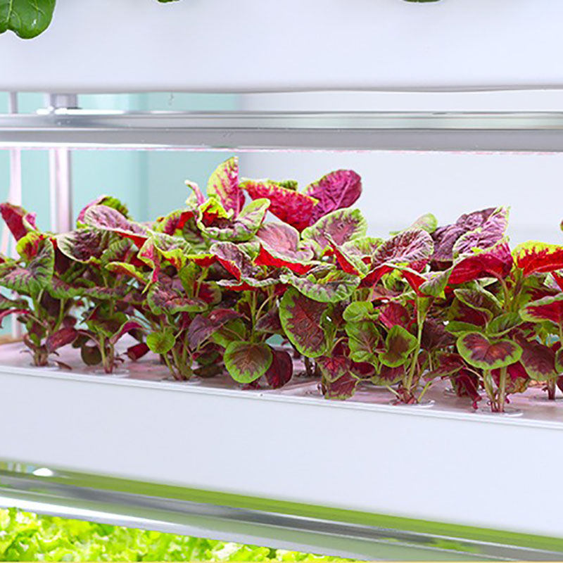 Tour de culture hydroponique v - Smart Garden Box avis et prix