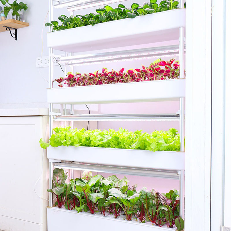 Tour de culture hydroponique v - Smart Garden Box avis et prix