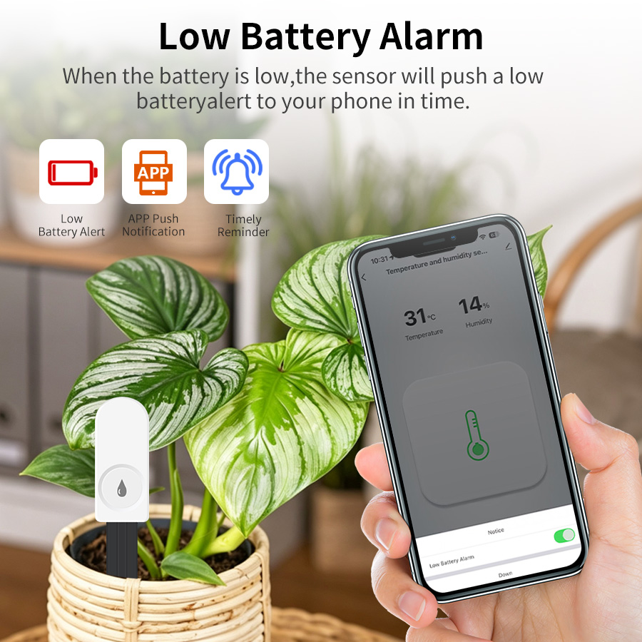 Capteur d'humidité du sol inte - App Smart Garden avis et prix