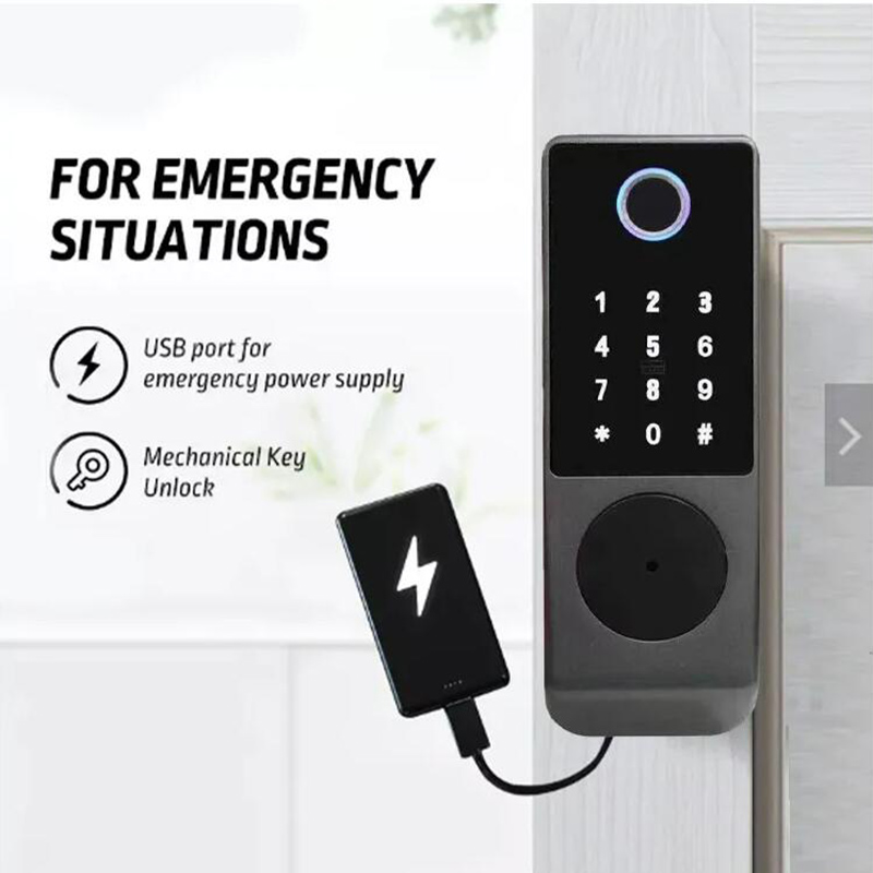 Serrure de porte intelligente  - Smart Garden Gate avis et prix