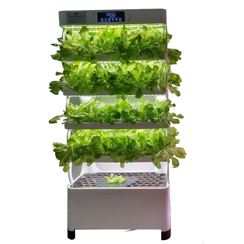 Système de culture hydroponiqu - Smart Garden Indoor avis et prix