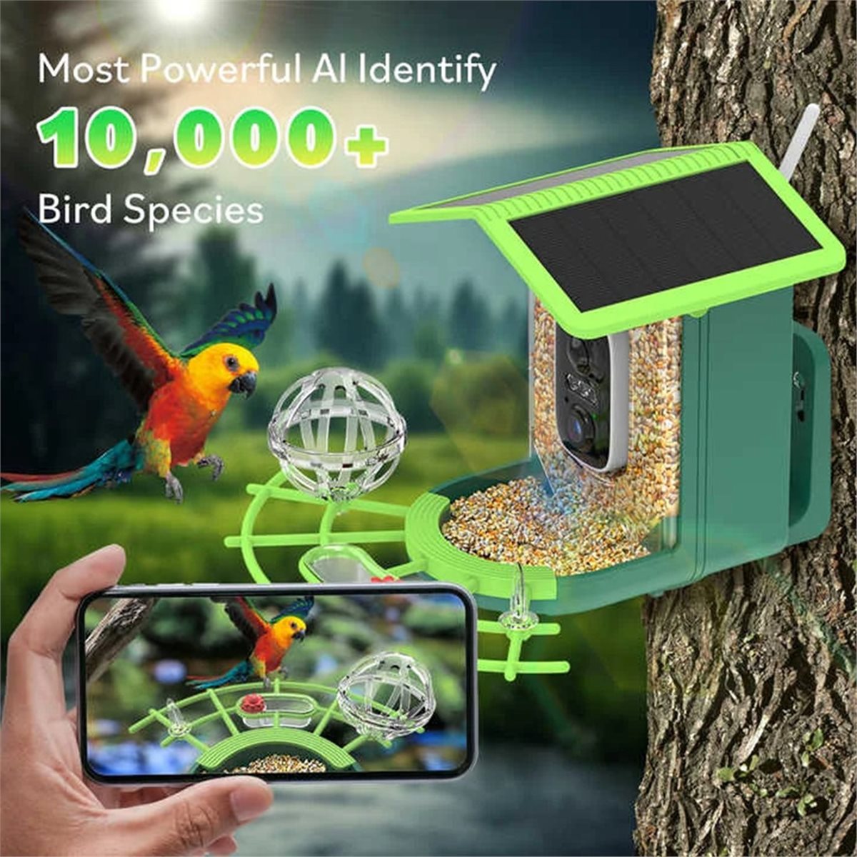 Caméra de mangeoire à oiseaux  - Smart Garden Video avis et prix