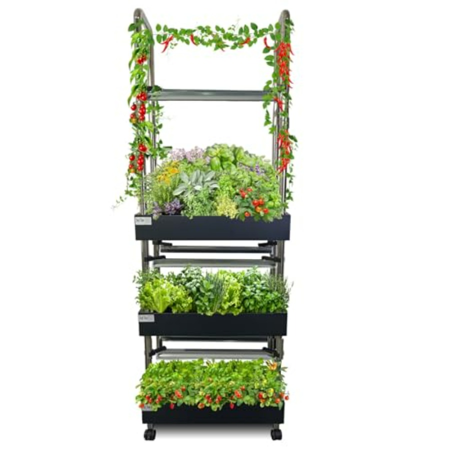 Système de culture hydroponiqu - Smart Garden Indoor avis et prix