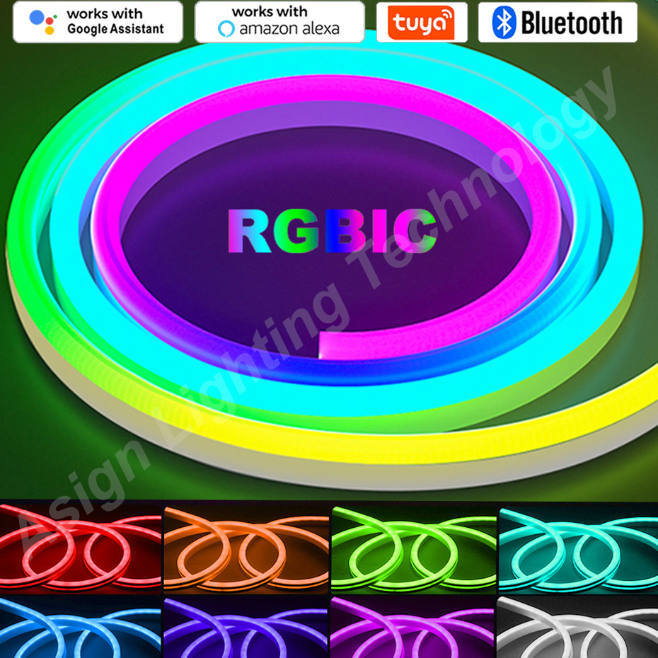 RGBIC LED bande néon 12V 96LED - App Smart Garden avis et prix