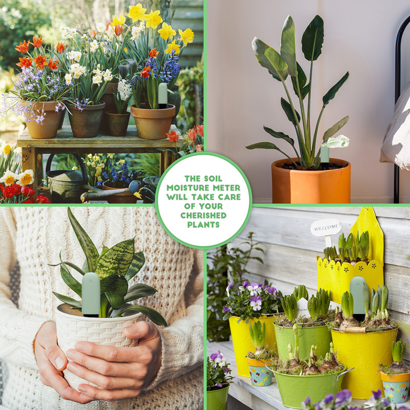 HHCC-Moniteur intelligent de s - App Smart Garden avis et prix