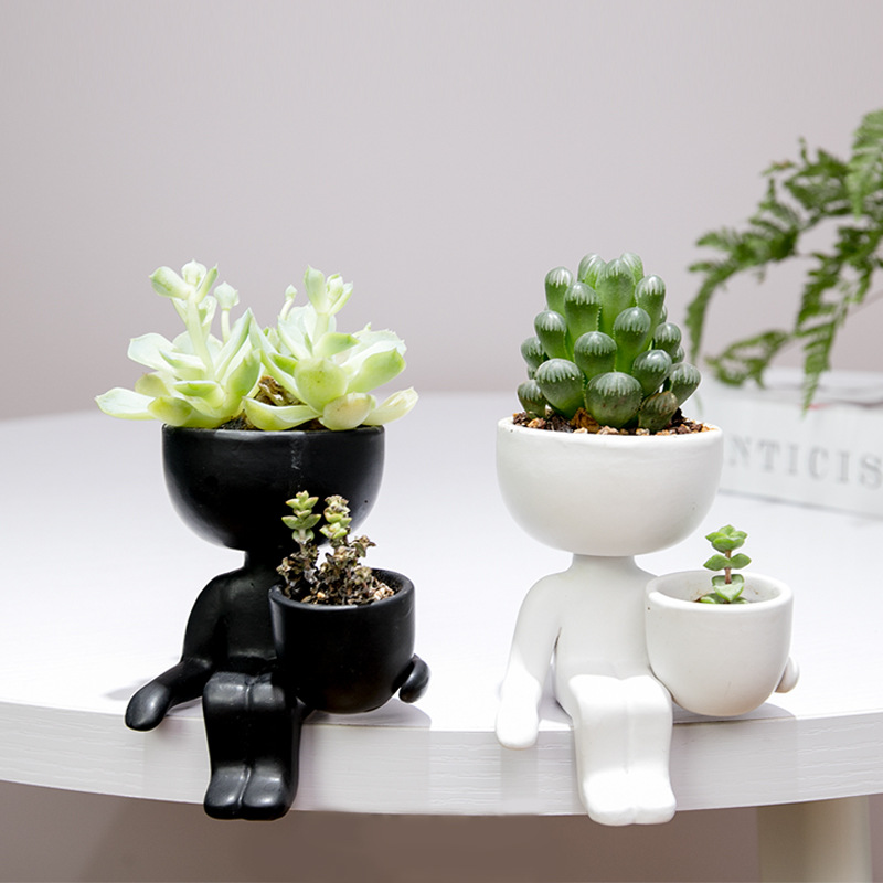 Pot de fleur en céramique huma - Indoor Herb Garden Kit avis et prix