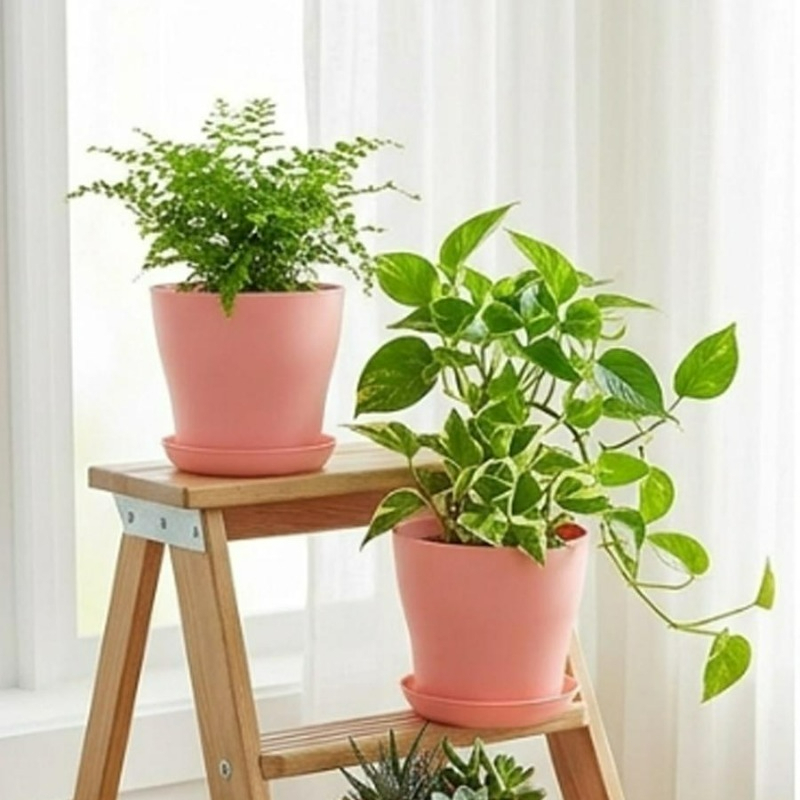 Ensemble de pots de plantes av - Indoor Herb Garden Kit avis et prix